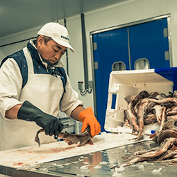KuNa Fish fileerders
