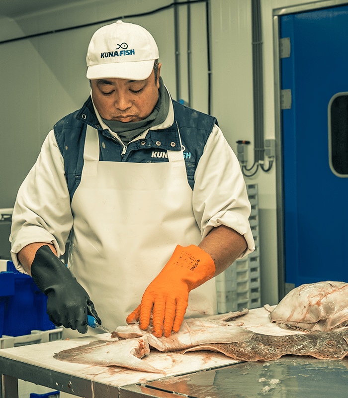 KuNa Fish - verpakken van verse vis, Verse Noordzeevis