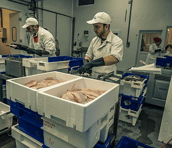 KuNa Fish waarden, respect, klantgerichtheid, groei